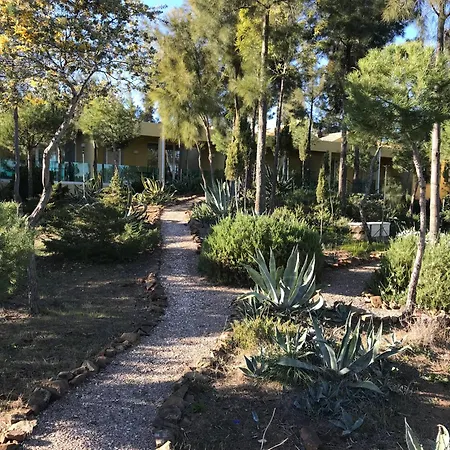 Quinta Eirinhas-jardim De Bonsai