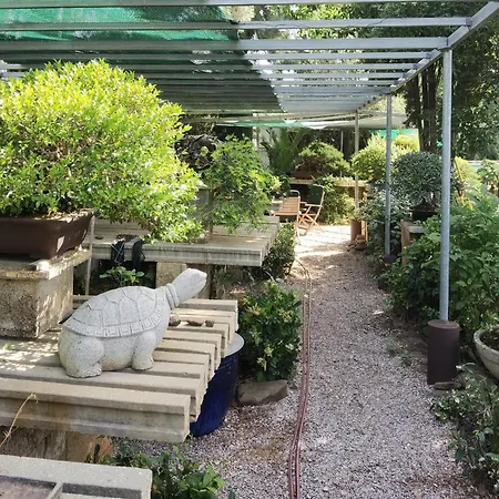 Quinta Eirinhas-jardim De Bonsai Lägenhetshotell